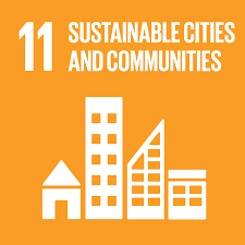 Challenge Participation - SDG 11 Sustainable Cities and Communities